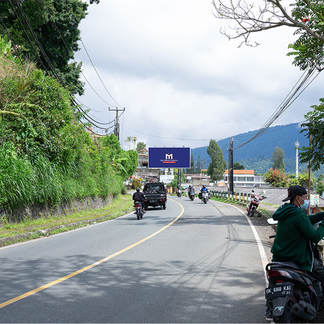 Jalan Raya Bedugul